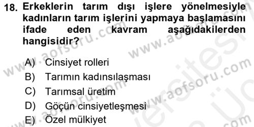 Toplumsal Cinsiyet Sosyolojisi Dersi 2017 - 2018 Yılı 3 Ders Sınav Soruları 18. Soru