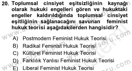 Toplumsal Cinsiyet Sosyolojisi Dersi 2017 - 2018 Yılı 3 Ders Sınav Soruları 20. Soru