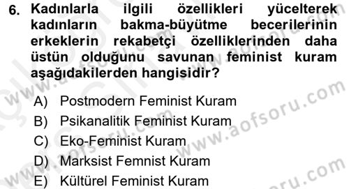 Toplumsal Cinsiyet Sosyolojisi Dersi 2017 - 2018 Yılı 3 Ders Sınav Soruları 6. Soru
