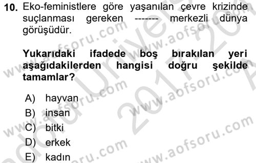 Toplumsal Cinsiyet Sosyolojisi Dersi 2017 - 2018 Yılı (Vize) Ara Sınav Soruları 10. Soru