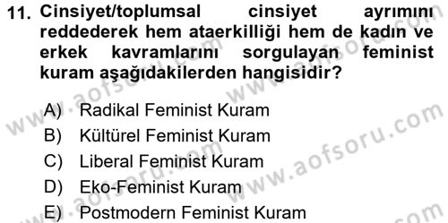 Toplumsal Cinsiyet Sosyolojisi Dersi Ara Sınavı Deneme Sınav Soruları 11. Soru