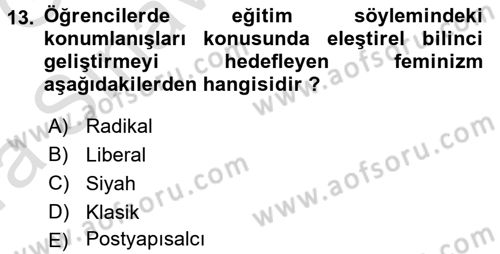 Toplumsal Cinsiyet Sosyolojisi Dersi 2017 - 2018 Yılı (Vize) Ara Sınav Soruları 13. Soru