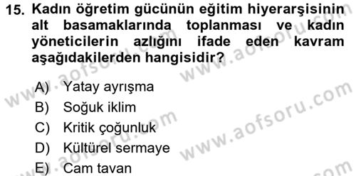 Toplumsal Cinsiyet Sosyolojisi Dersi Ara Sınavı Deneme Sınav Soruları 15. Soru