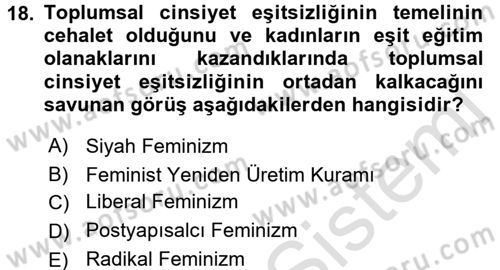 Toplumsal Cinsiyet Sosyolojisi Dersi Ara Sınavı Deneme Sınav Soruları 18. Soru