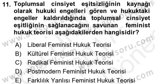 Toplumsal Cinsiyet Sosyolojisi Dersi 2017 - 2018 Yılı (Final) Dönem Sonu Sınav Soruları 11. Soru