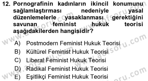 Toplumsal Cinsiyet Sosyolojisi Dersi 2017 - 2018 Yılı (Final) Dönem Sonu Sınav Soruları 12. Soru