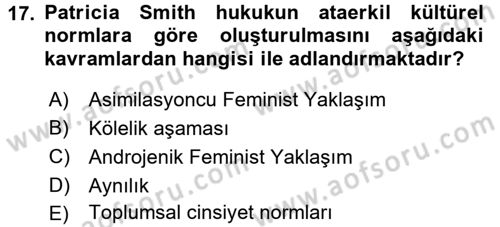 Toplumsal Cinsiyet Sosyolojisi Dersi 2017 - 2018 Yılı (Final) Dönem Sonu Sınav Soruları 17. Soru