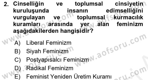 Toplumsal Cinsiyet Sosyolojisi Dersi 2017 - 2018 Yılı (Final) Dönem Sonu Sınav Soruları 2. Soru