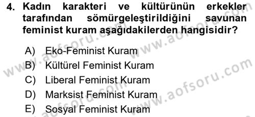 Toplumsal Cinsiyet Sosyolojisi Dersi 2017 - 2018 Yılı (Final) Dönem Sonu Sınav Soruları 4. Soru