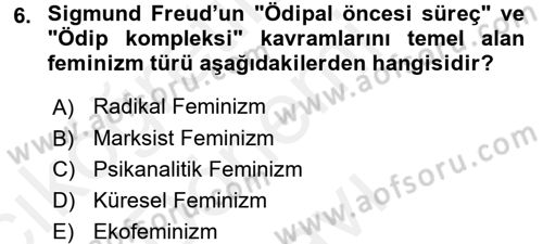 Toplumsal Cinsiyet Sosyolojisi Dersi 2017 - 2018 Yılı (Final) Dönem Sonu Sınav Soruları 6. Soru
