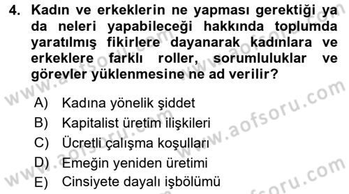 Toplumsal Cinsiyet Sosyolojisi Dersi Ara Sınavı Deneme Sınav Soruları 4. Soru