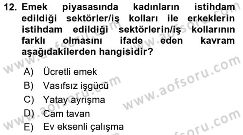 Toplumsal Cinsiyet Sosyolojisi Dersi 2019 - 2020 Yılı (Final) Dönem Sonu Sınav Soruları 12. Soru