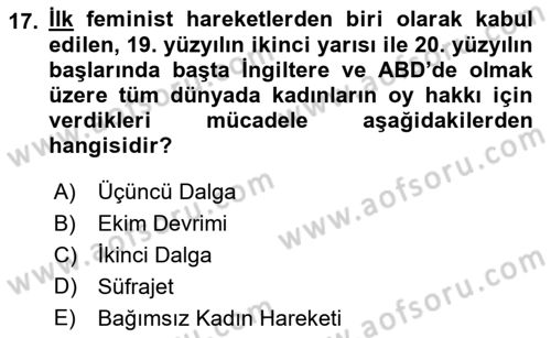 Toplumsal Cinsiyet Sosyolojisi Dersi 2019 - 2020 Yılı (Final) Dönem Sonu Sınav Soruları 17. Soru
