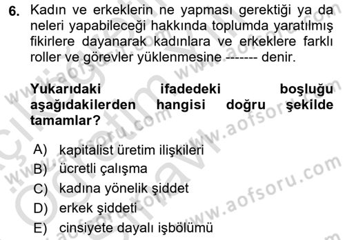 Toplumsal Cinsiyet Sosyolojisi Dersi 2020 - 2021 Yılı Yaz Okulu Sınav Soruları 6. Soru