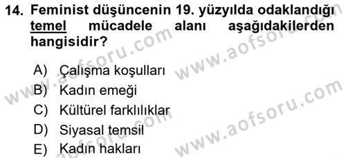 Toplumsal Cinsiyet Sosyolojisi Dersi 2021 - 2022 Yılı (Vize) Ara Sınavı 14. Soru