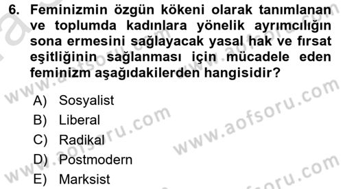 Toplumsal Cinsiyet Sosyolojisi Dersi Ara Sınavı Deneme Sınav Soruları 6. Soru