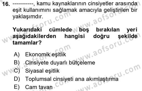 Toplumsal Cinsiyet Sosyolojisi Dersi 2021 - 2022 Yılı (Final) Dönem Sonu Sınav Soruları 16. Soru