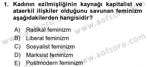 Toplumsal Cinsiyet Sosyolojisi Dersi 2021 - 2022 Yılı Yaz Okulu Sınav Soruları 1. Soru