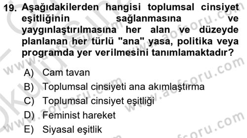 Toplumsal Cinsiyet Sosyolojisi Dersi 2021 - 2022 Yılı Yaz Okulu Sınav Soruları 19. Soru