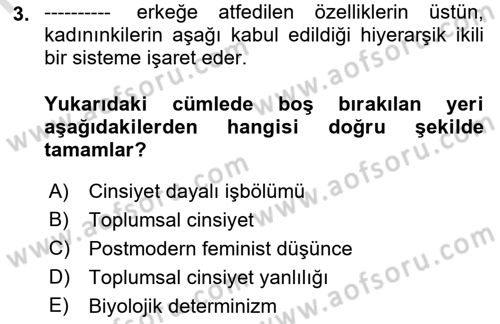 Toplumsal Cinsiyet Sosyolojisi Dersi 2021 - 2022 Yılı Yaz Okulu Sınavı 3. Soru