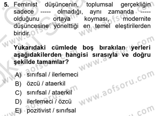 Toplumsal Cinsiyet Sosyolojisi Dersi 2021 - 2022 Yılı Yaz Okulu Sınav Soruları 5. Soru