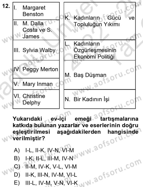 Toplumsal Cinsiyet Sosyolojisi Dersi 2022 - 2023 Yılı Yaz Okulu Sınav Soruları 12. Soru