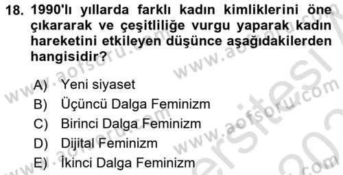 Toplumsal Cinsiyet Sosyolojisi Dersi 2022 - 2023 Yılı Yaz Okulu Sınav Soruları 18. Soru