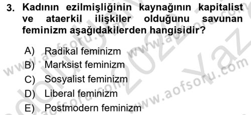 Toplumsal Cinsiyet Sosyolojisi Dersi 2022 - 2023 Yılı Yaz Okulu Sınav Soruları 3. Soru