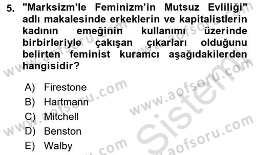 Toplumsal Cinsiyet Sosyolojisi Dersi 2022 - 2023 Yılı Yaz Okulu Sınav Soruları 5. Soru