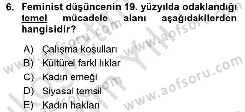 Toplumsal Cinsiyet Sosyolojisi Dersi 2022 - 2023 Yılı Yaz Okulu Sınav Soruları 6. Soru