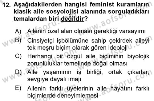 Toplumsal Cinsiyet Sosyolojisi Dersi Ara Sınavı Deneme Sınav Soruları 12. Soru