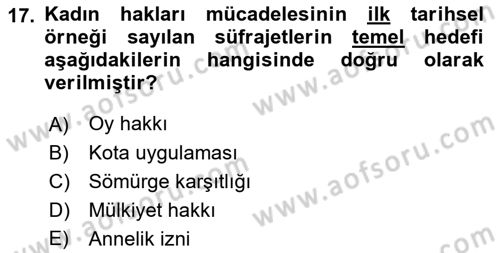 Toplumsal Cinsiyet Sosyolojisi Dersi 2023 - 2024 Yılı (Vize) Ara Sınav Soruları 17. Soru