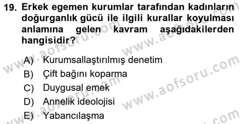 Toplumsal Cinsiyet Sosyolojisi Dersi Ara Sınavı Deneme Sınav Soruları 19. Soru