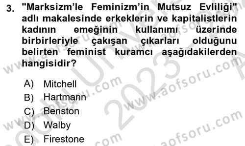 Toplumsal Cinsiyet Sosyolojisi Dersi Ara Sınavı Deneme Sınav Soruları 3. Soru