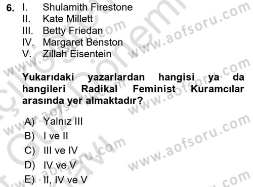 Toplumsal Cinsiyet Sosyolojisi Dersi 2023 - 2024 Yılı (Vize) Ara Sınavı 6. Soru