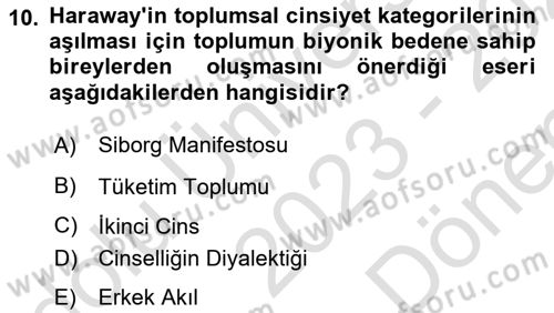 Toplumsal Cinsiyet Sosyolojisi Dersi 2023 - 2024 Yılı (Final) Dönem Sonu Sınav Soruları 10. Soru