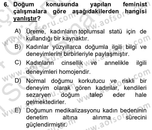 Toplumsal Cinsiyet Sosyolojisi Dersi 2023 - 2024 Yılı (Final) Dönem Sonu Sınav Soruları 6. Soru