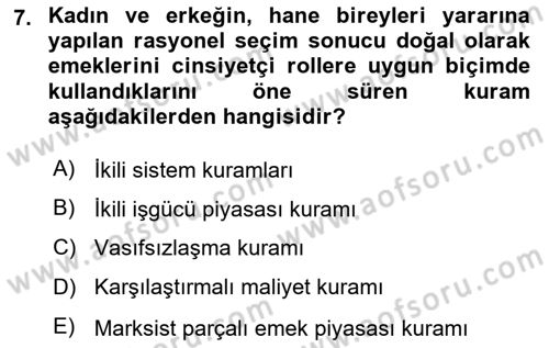 Toplumsal Cinsiyet Sosyolojisi Dersi 2023 - 2024 Yılı (Final) Dönem Sonu Sınav Soruları 7. Soru