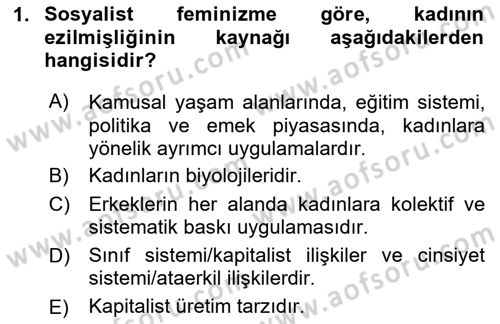 Toplumsal Cinsiyet Sosyolojisi Dersi 2023 - 2024 Yılı Yaz Okulu Sınav Soruları 1. Soru