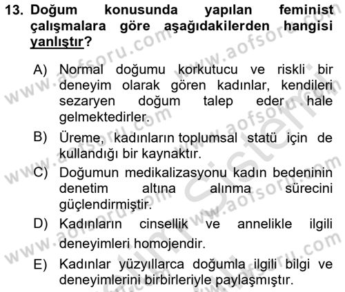 Toplumsal Cinsiyet Sosyolojisi Dersi 2023 - 2024 Yılı Yaz Okulu Sınav Soruları 13. Soru