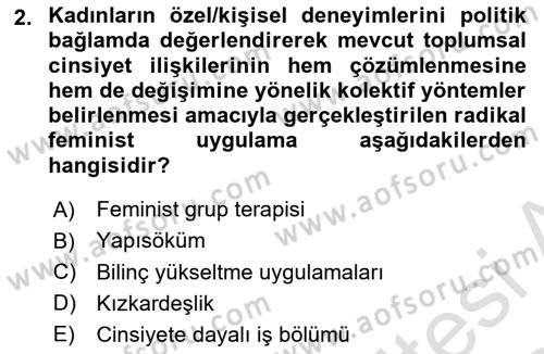 Toplumsal Cinsiyet Sosyolojisi Dersi 2023 - 2024 Yılı Yaz Okulu Sınav Soruları 2. Soru