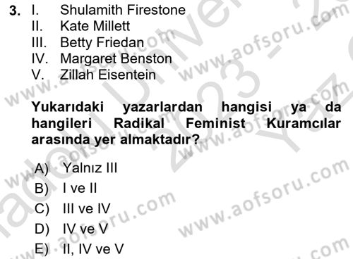 Toplumsal Cinsiyet Sosyolojisi Dersi 2023 - 2024 Yılı Yaz Okulu Sınav Soruları 3. Soru