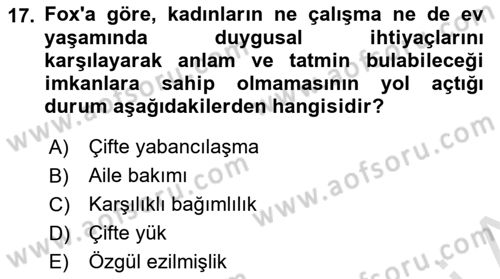 Toplumsal Cinsiyet Sosyolojisi Dersi Ara Sınavı Deneme Sınav Soruları 17. Soru