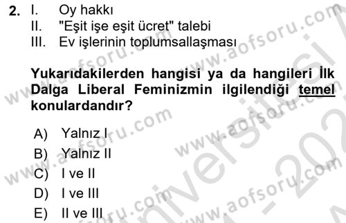 Toplumsal Cinsiyet Sosyolojisi Dersi 2024 - 2025 Yılı (Vize) Ara Sınav Soruları 2. Soru