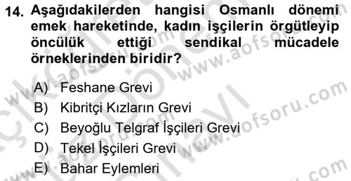 Toplumsal Cinsiyet Sosyolojisi Dersi 2024 - 2025 Yılı (Final) Dönem Sonu Sınav Soruları 14. Soru