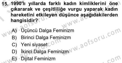 Toplumsal Cinsiyet Sosyolojisi Dersi 2024 - 2025 Yılı (Final) Dönem Sonu Sınav Soruları 15. Soru