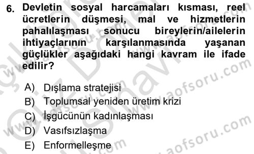 Toplumsal Cinsiyet Sosyolojisi Dersi 2024 - 2025 Yılı (Final) Dönem Sonu Sınav Soruları 6. Soru