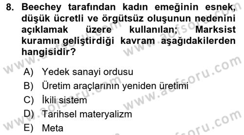 Toplumsal Cinsiyet Sosyolojisi Dersi 2024 - 2025 Yılı (Final) Dönem Sonu Sınav Soruları 8. Soru