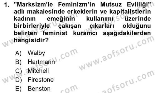 Toplumsal Cinsiyet Sosyolojisi Dersi 2024 - 2025 Yılı Yaz Okulu Sınav Soruları 1. Soru