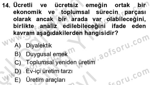 Toplumsal Cinsiyet Sosyolojisi Dersi Yaz Okulu Sınavı Deneme Sınav Soruları 14. Soru